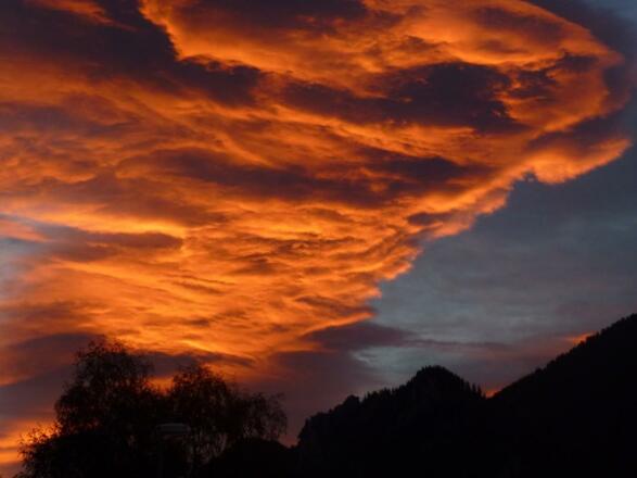 Morgenstimmung auf dem Balkon