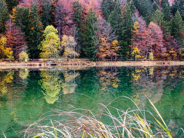 Die bunten Bäume spiegeln sich im Frillensee.