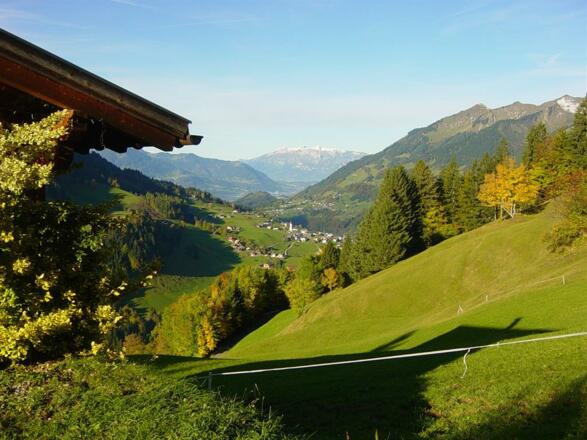 Blick vom Haus ins Tal