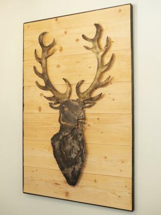 Impression Haus am Wildbach (Medium)