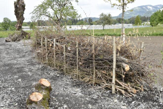 &quot;Benjeshecke&quot; Ruheplatz &quot;Treiet&quot;