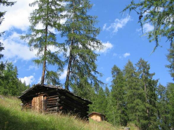 von Forchach zur Starkenburgerhütte 2007