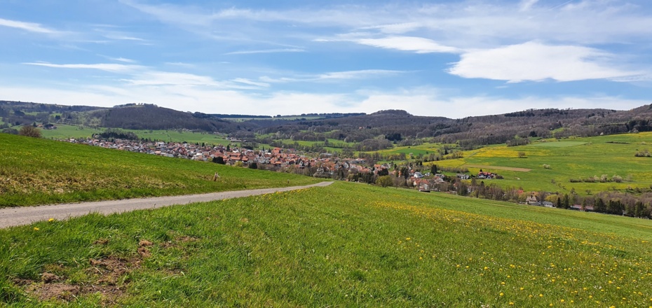 Blick auf Wüstensachsen