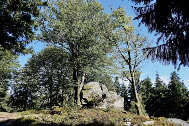 Predigtstuhl