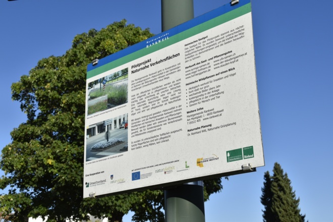 Pilotprojekt Naturnahe Verkehrsflächen Rankweil