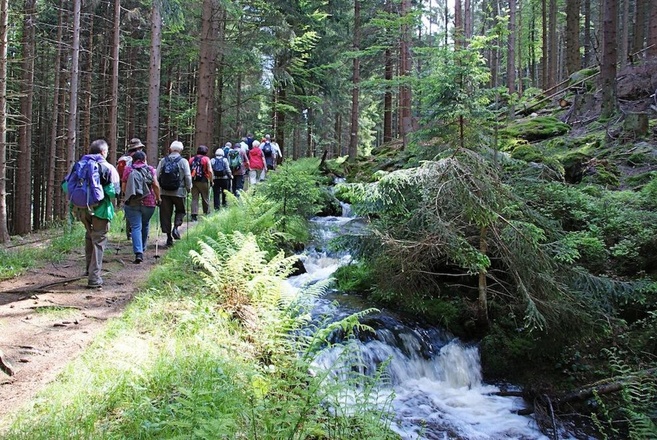 Wandergruppe unterwegs am Mühlgrabenweg