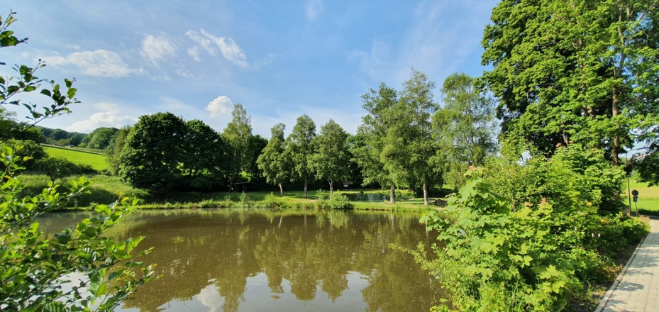 Paddelteich Wüstensachsen