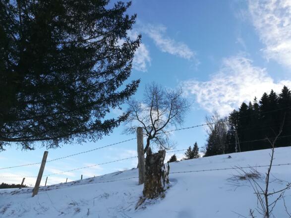 einfach nur Wunderschön