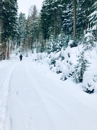 Skitour oder Mountenbiken, in Ruhe und von der Haustüre weg (je nach Jahreszeit)