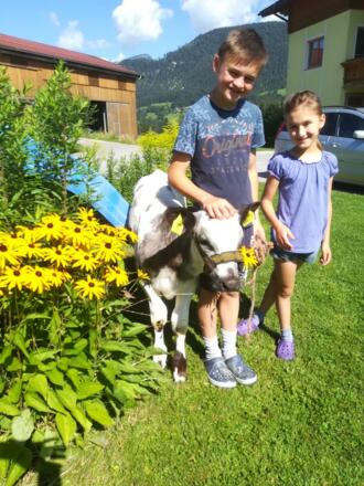 Spaziergang mit Emma