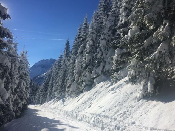 Winter-Wunderland