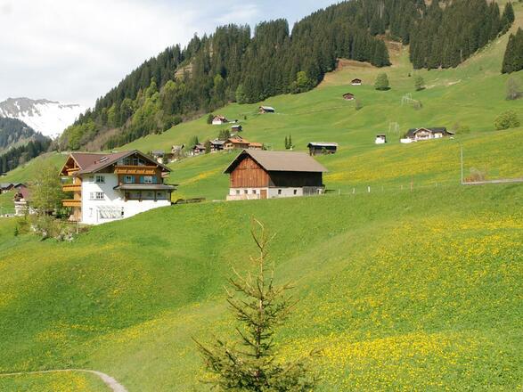 Blick vom Balkon der Katagorie Gipfelblick