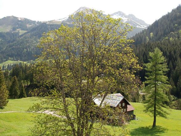 Blick vom Balkon eines Talblick-Zimmers