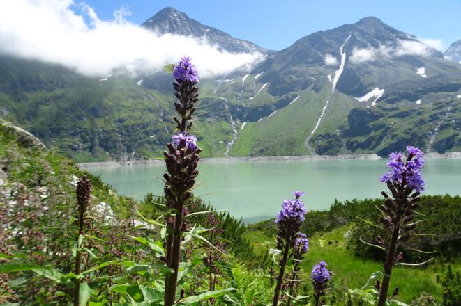 Taunernmoossee