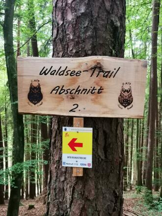 MTB Strecke Heimbuchenthal -  Trail Abschnitt