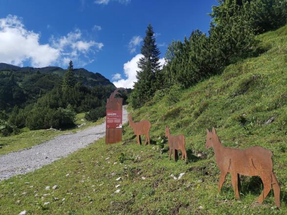 Stebok Wäg (neu) (c)  - (c) Alpenregion Bludenz To