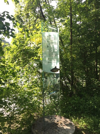 image00021