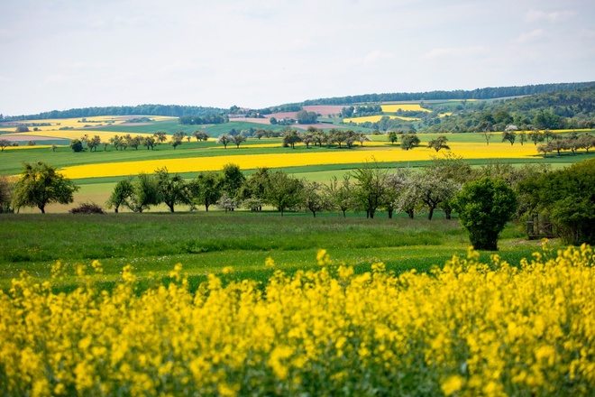 Wandern rund um Eschau