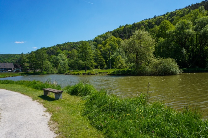 Kurparksee Heimbuchenthal