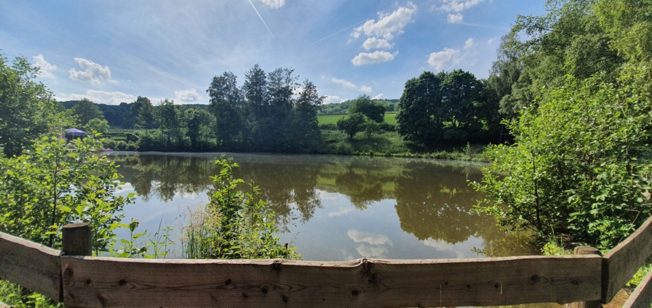 Paddelteich Wüstensachsen