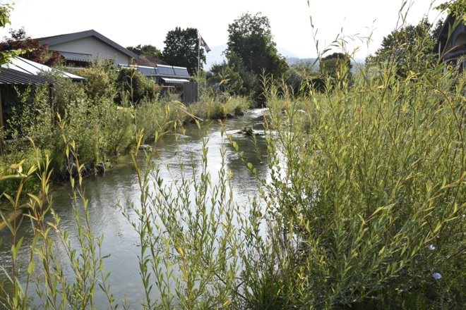 1. Abschnitt Renaturierung Mühlbach Ruhe- und Petanqueplatz