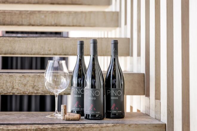 Pino3000_2020_byRudiWyhlidal-0363-edit