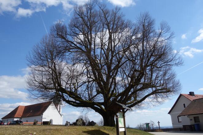 Wallfahrtskirche St. Ursula in Pilgramsberg