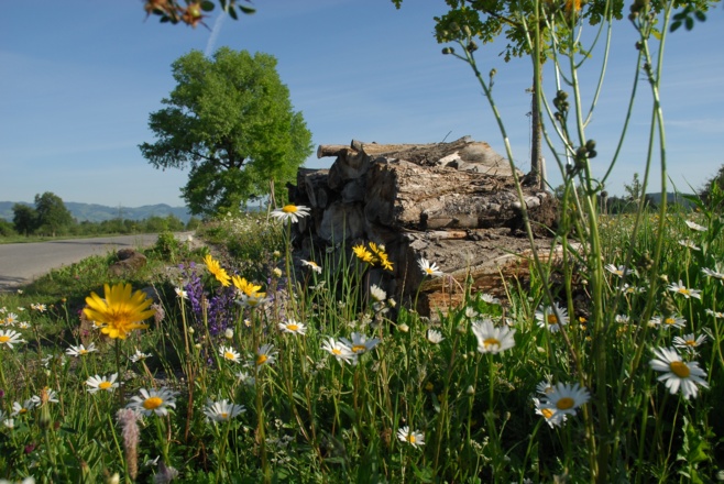 Ruheplatz &quot;Treiet&quot;