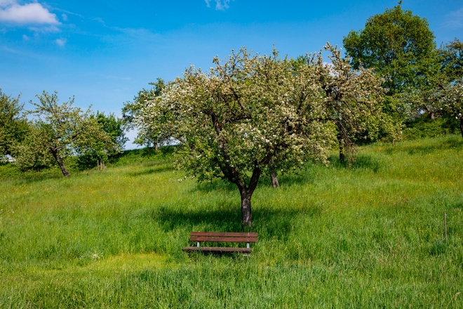 Wandern rund um Eschau