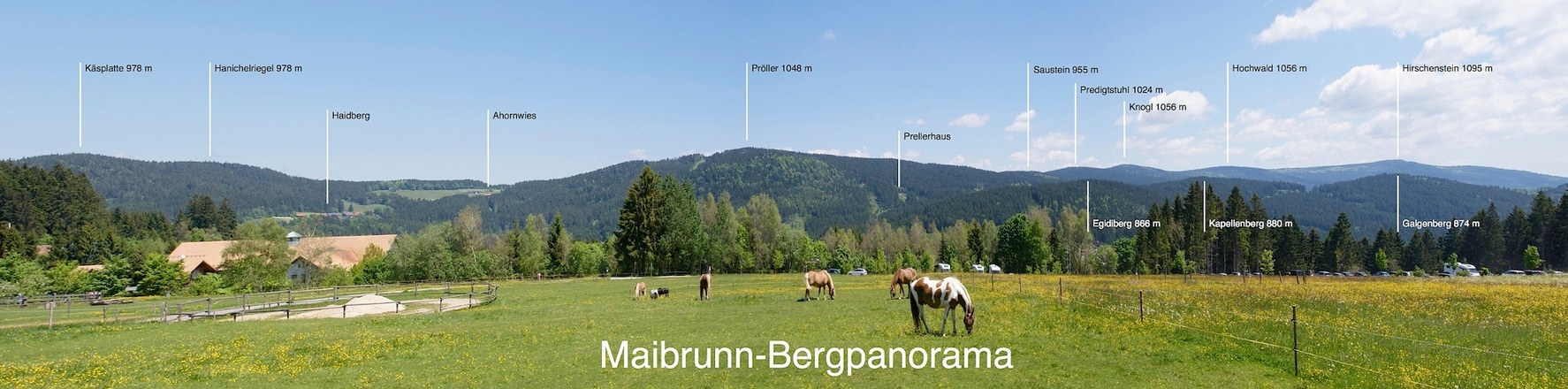 Maibrunn-Panorama