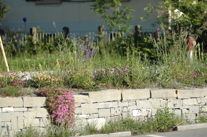 Trockensteinmauer &quot;Wildbienen-Bahnhof&quot; Rankweil