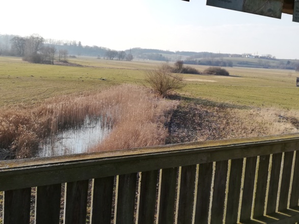 Ausblick auf das Freisinger Moos vom Vogelbeobachtungsturm aus