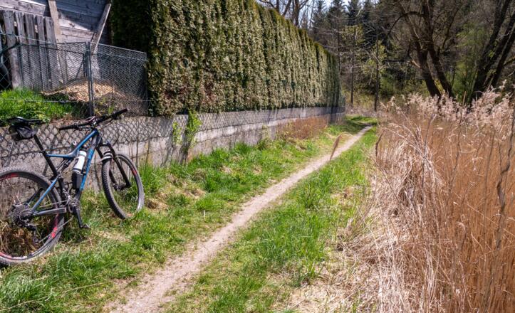 Trailabschnitt an der Ortsgrenze - bitte auf andere Wegenutzer achten,