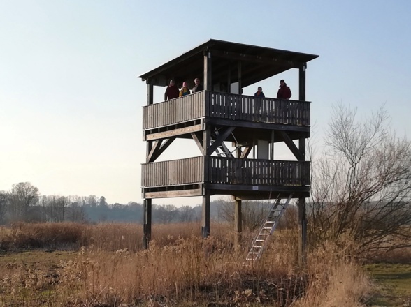 Vogelbeobachtungsturm im Freisinger Moos