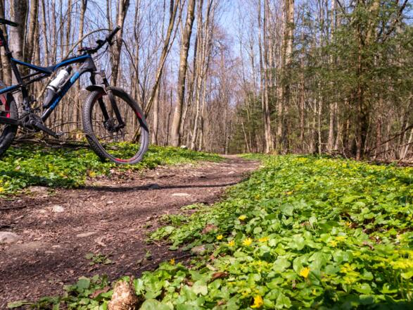 Beginn des ersten Trail Abschnittes hinab in den Teufelsgraben