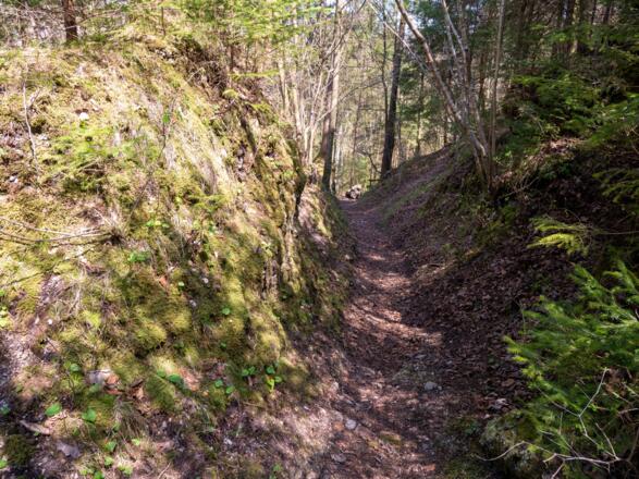der Trailf führt steil hinab durch einen wildromantischen Hohlweg,