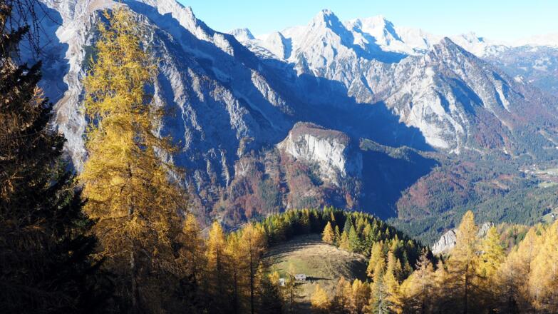 ~1460 m Lichtung erreicht, Tiefblick Lögerhütte 1370m