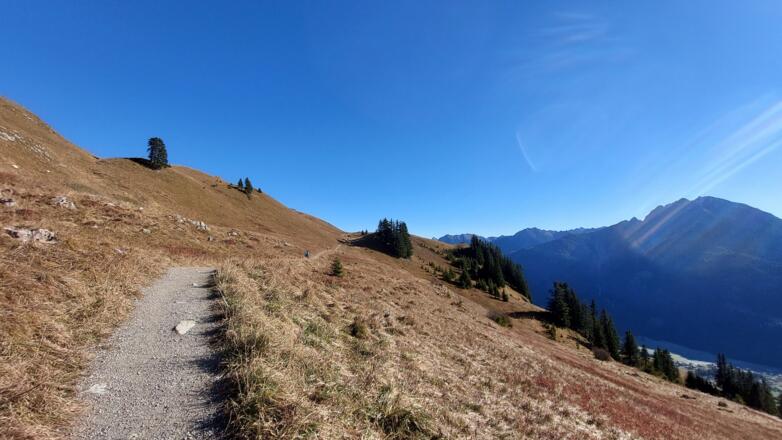 Komfortabler Weg zum Aussichtspunkt Lachenkopf.