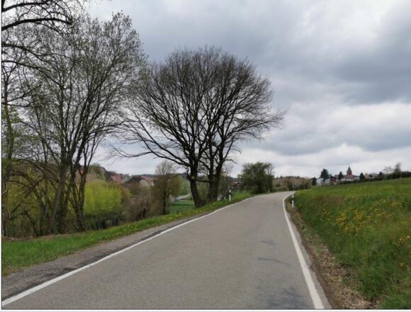Landstraße von Rippberg nach Hornbach