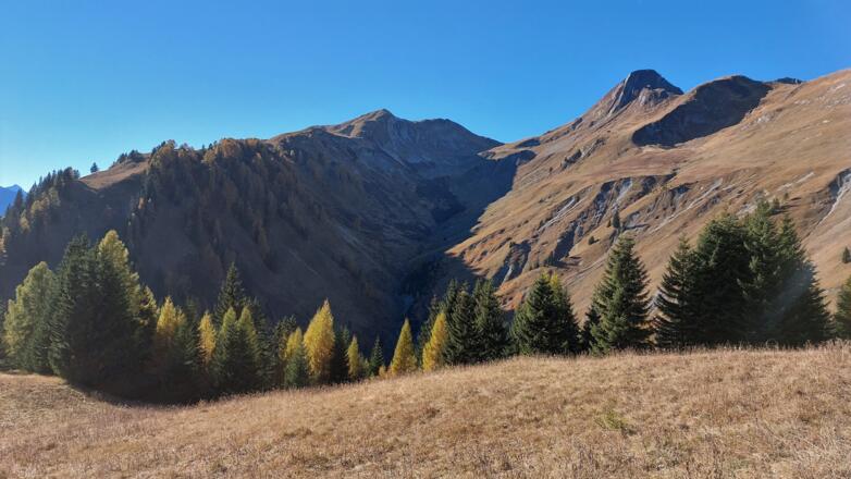 An der Waldgrenze bietet sich noch einmal der Blick zurück auf Jöchel- und Rothornspitze.