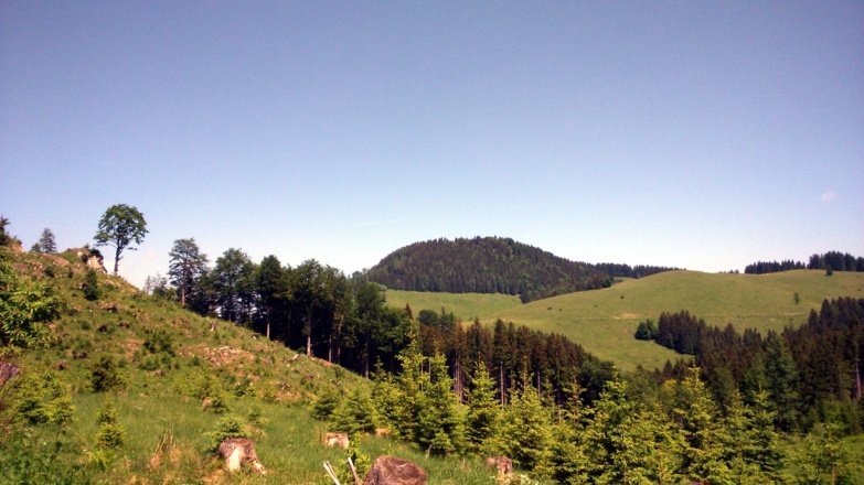 Blick zum Hochkogel von der Wolfskopf-Anfahrt