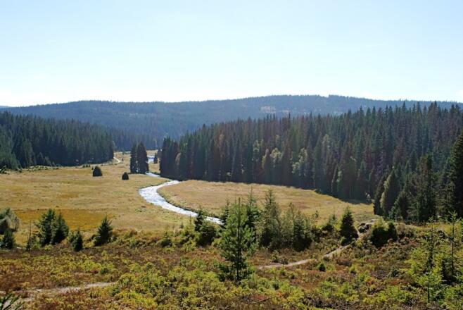 Blick ins Tal des Großen Millerbaches