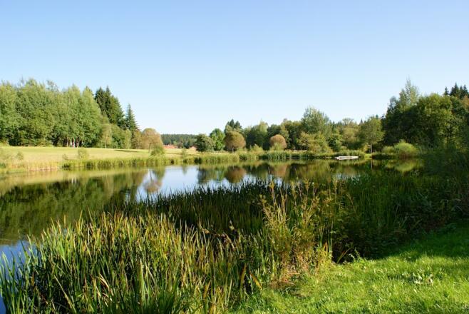 Weiher im Kurpark Spiegelau