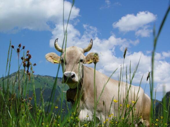 gitti mit blumen