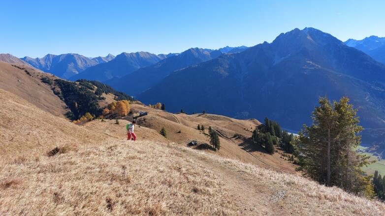In der kleinen Hütte befindet sich das Heumuseum. Rechts hinten die Wildebnerspitze.