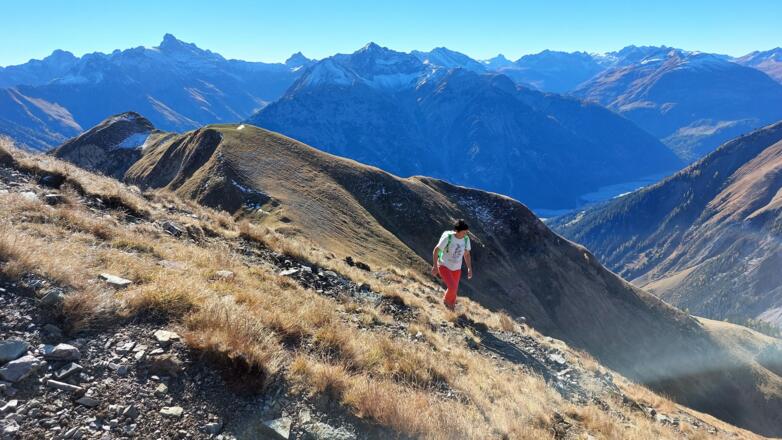 Nach oben hin nehmen wegähnliche Strukturen zu. Hinten die Jöchelspitze.