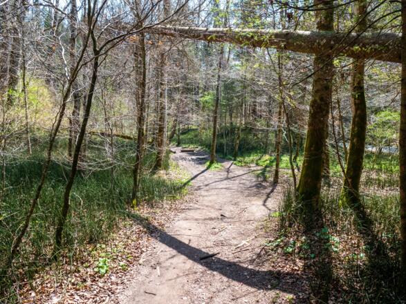 Nette Trailabschnitte an der Mangfall