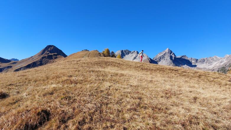 Weite Graslandschaft und graue, karstige Gipfel prägen das Landschaftsbild. Hinten die Krottenspitze.