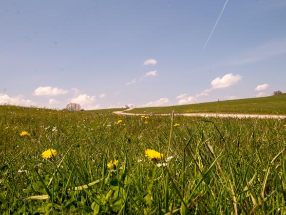 ein Blick zum höchsten Punkt der Tour