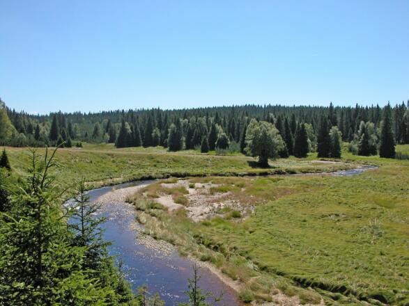 Großer Millerbach vor Modrava